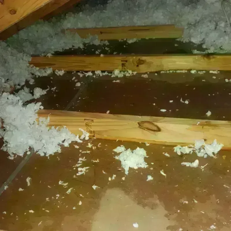 Attic Water Damage in Gulf Hills, MS