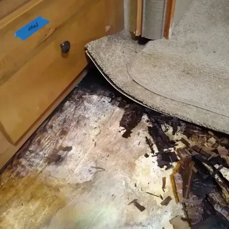 Wood Floor Water Damage in Gulf Hills, MS